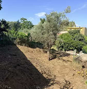 Foto annuncio 40