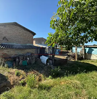 Foto annuncio 21