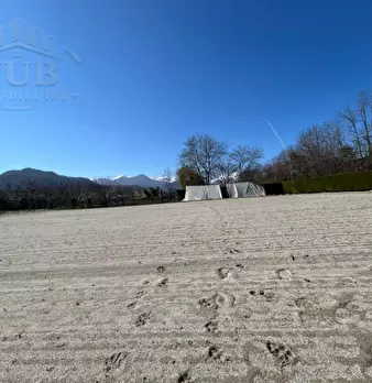 Foto annuncio 44