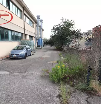 Foto annuncio 3