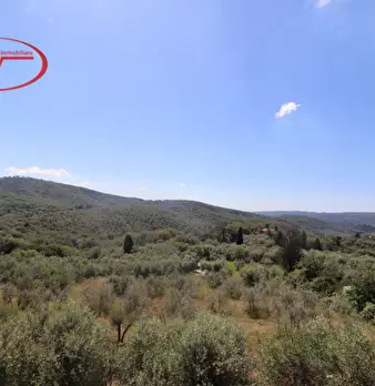 Foto annuncio 13