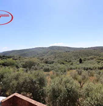 Foto annuncio 15