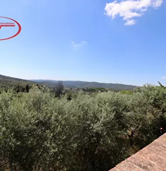 Foto annuncio 25