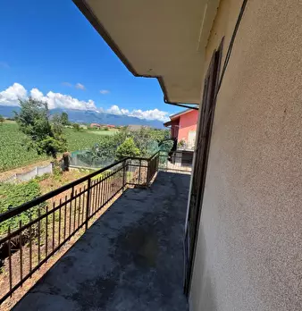 Foto annuncio 5