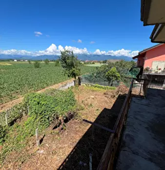 Foto annuncio 8