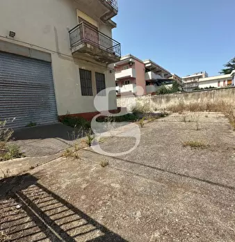 Foto annuncio 31