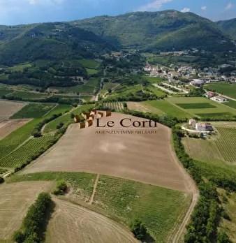 Foto annuncio 2