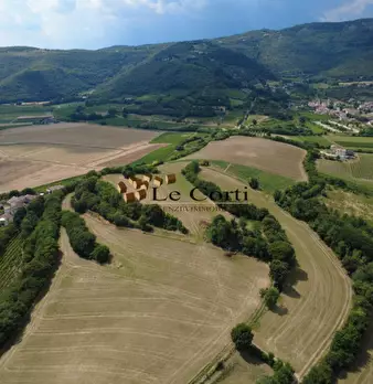 Foto annuncio 7