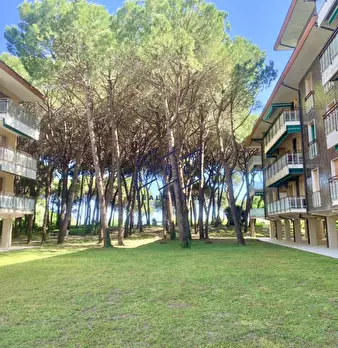 Foto annuncio 10