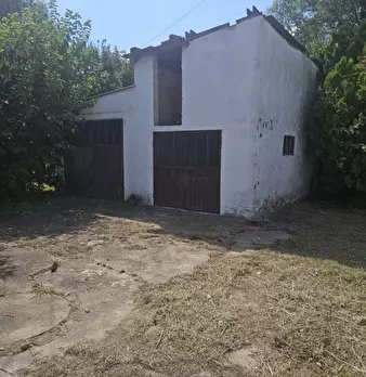 Foto annuncio 12