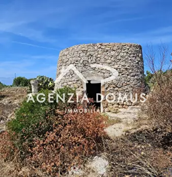 Foto annuncio 17