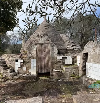 Foto annuncio 1