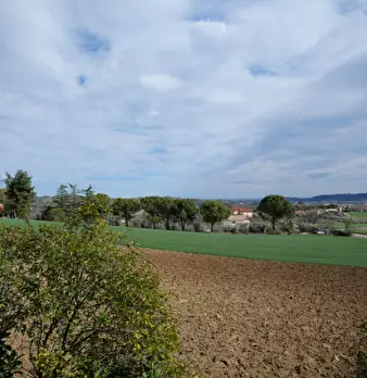 Foto annuncio 21