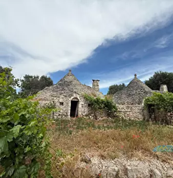 Foto annuncio 1