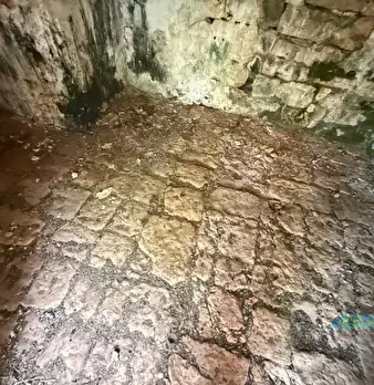 Foto annuncio 12