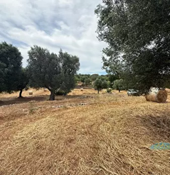 Foto annuncio 14