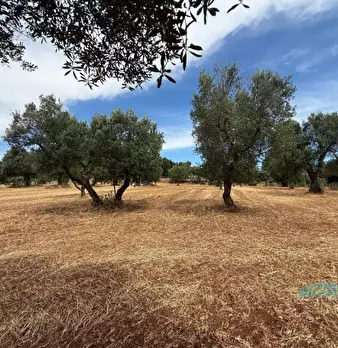 Foto annuncio 15