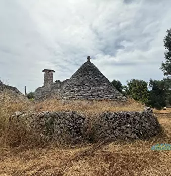 Foto annuncio 16