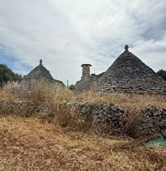 Foto annuncio 17