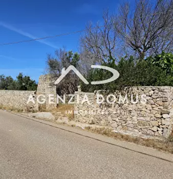 Foto annuncio 4