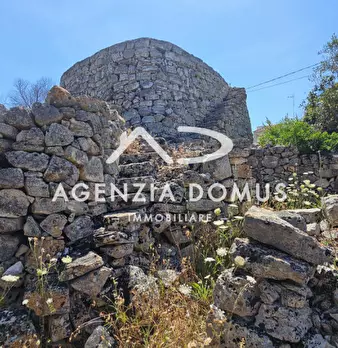 Foto annuncio 16