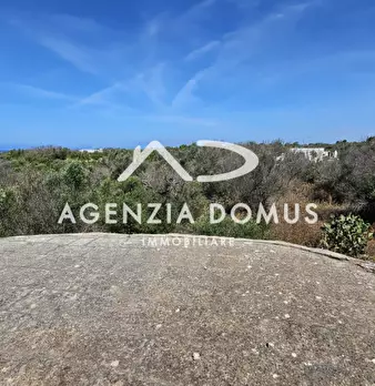 Foto annuncio 17