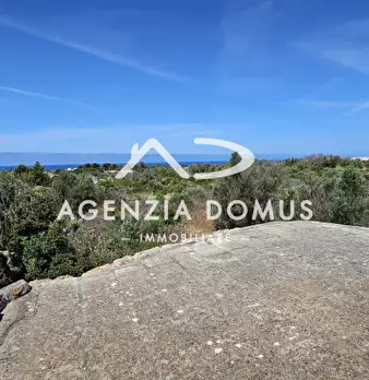 Foto annuncio 18