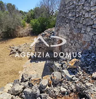 Foto annuncio 20