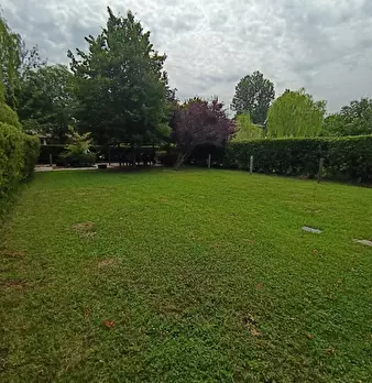 Foto annuncio 43