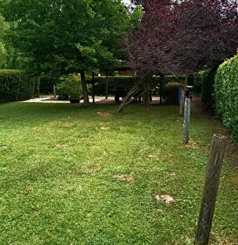 Foto annuncio 47