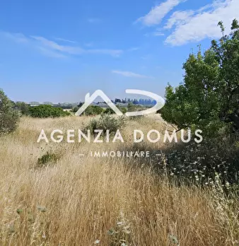 Foto annuncio 17