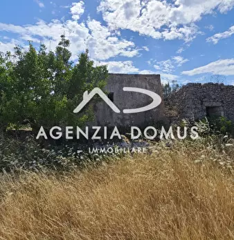 Foto annuncio 18