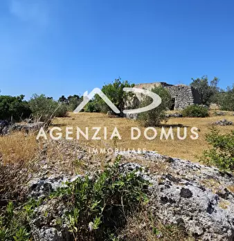 Foto annuncio 21