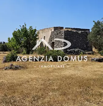Foto annuncio 22