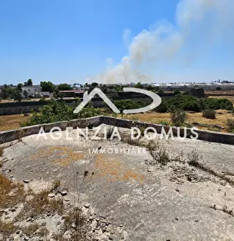 Foto annuncio 24