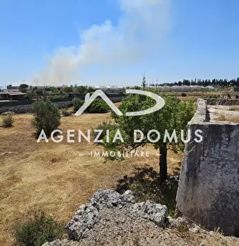 Foto annuncio 26