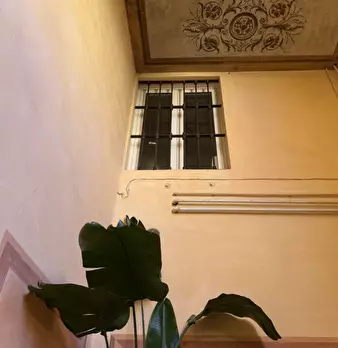 Foto annuncio 7