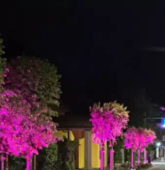 Foto annuncio 2