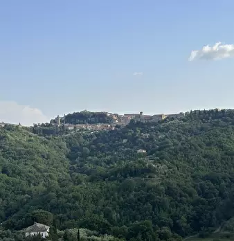 Foto annuncio 18