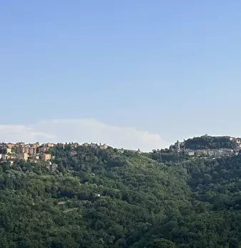 Foto annuncio 29