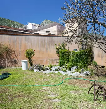 Foto annuncio 9