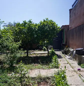 Foto annuncio 10