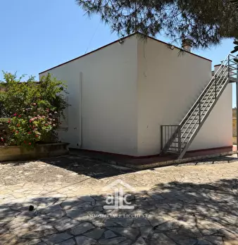 Foto annuncio 8