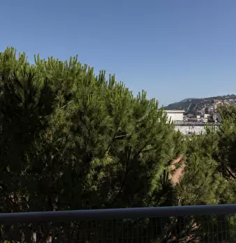 Foto annuncio 20
