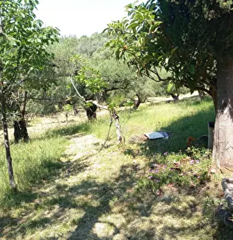 Foto annuncio 11