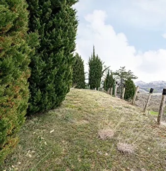 Foto annuncio 9