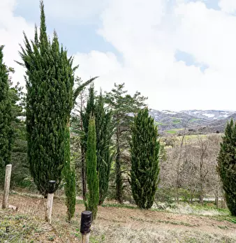 Foto annuncio 10