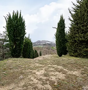 Foto annuncio 15