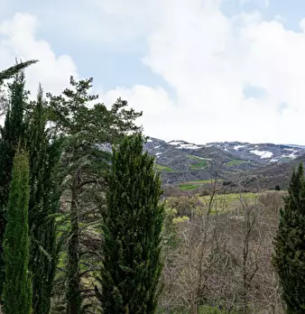 Foto annuncio 19
