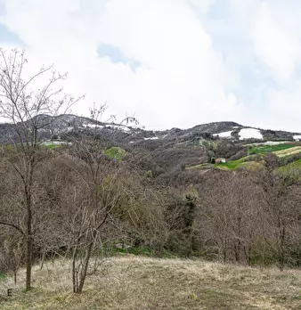 Foto annuncio 20
